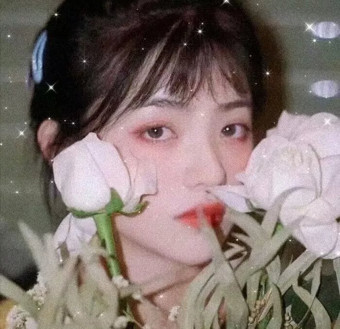 固执的爱